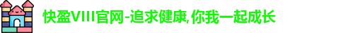 快盈VIII